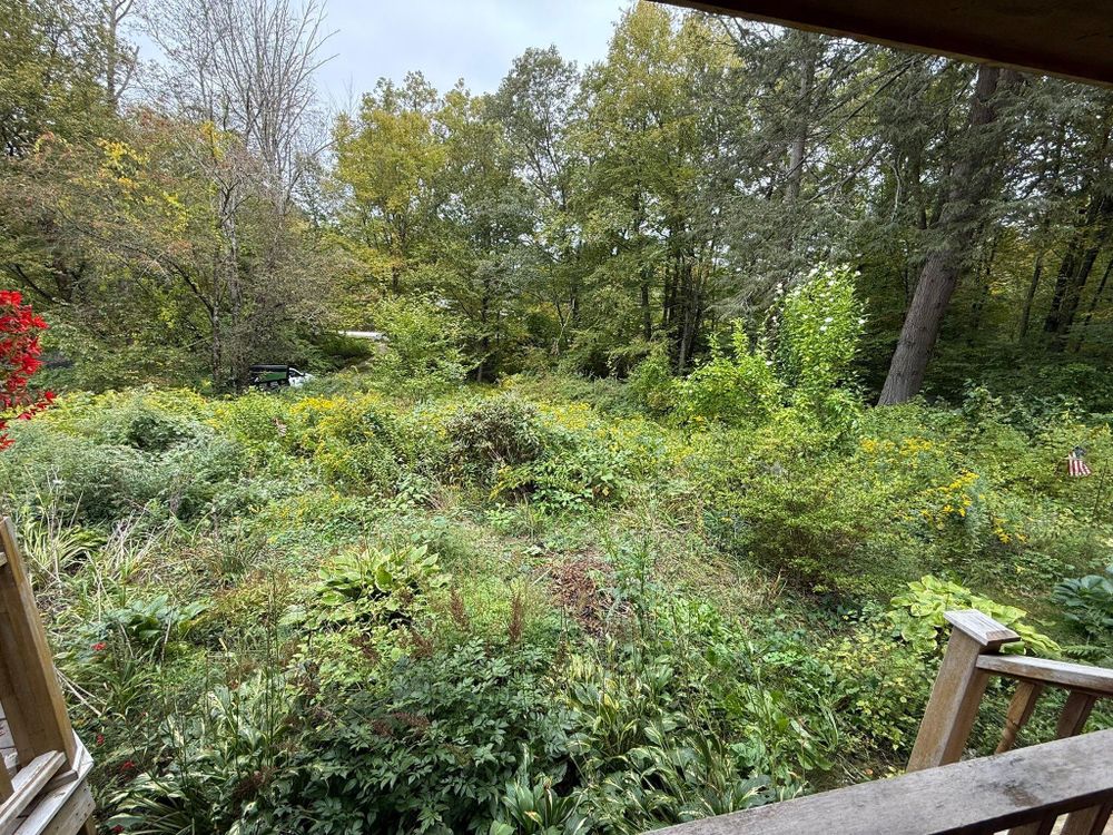 All Photos for Navedo’s Lawn Care in Putnam, CT