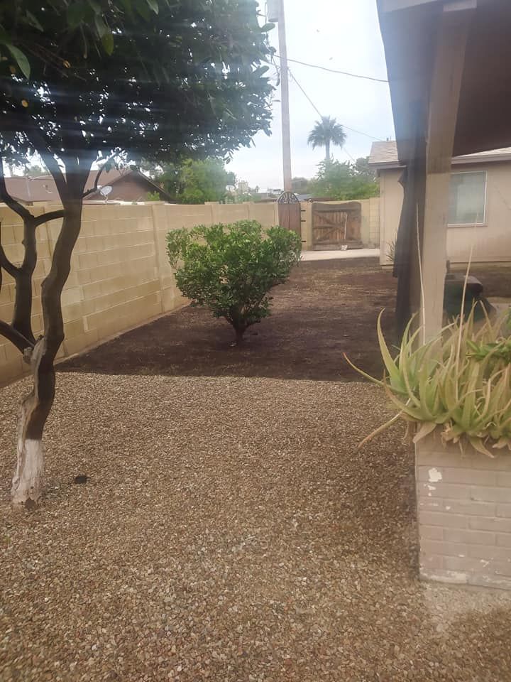 All Photos for Sharp Image LLC Landscaping & Hardscape in Phoenix, AZ