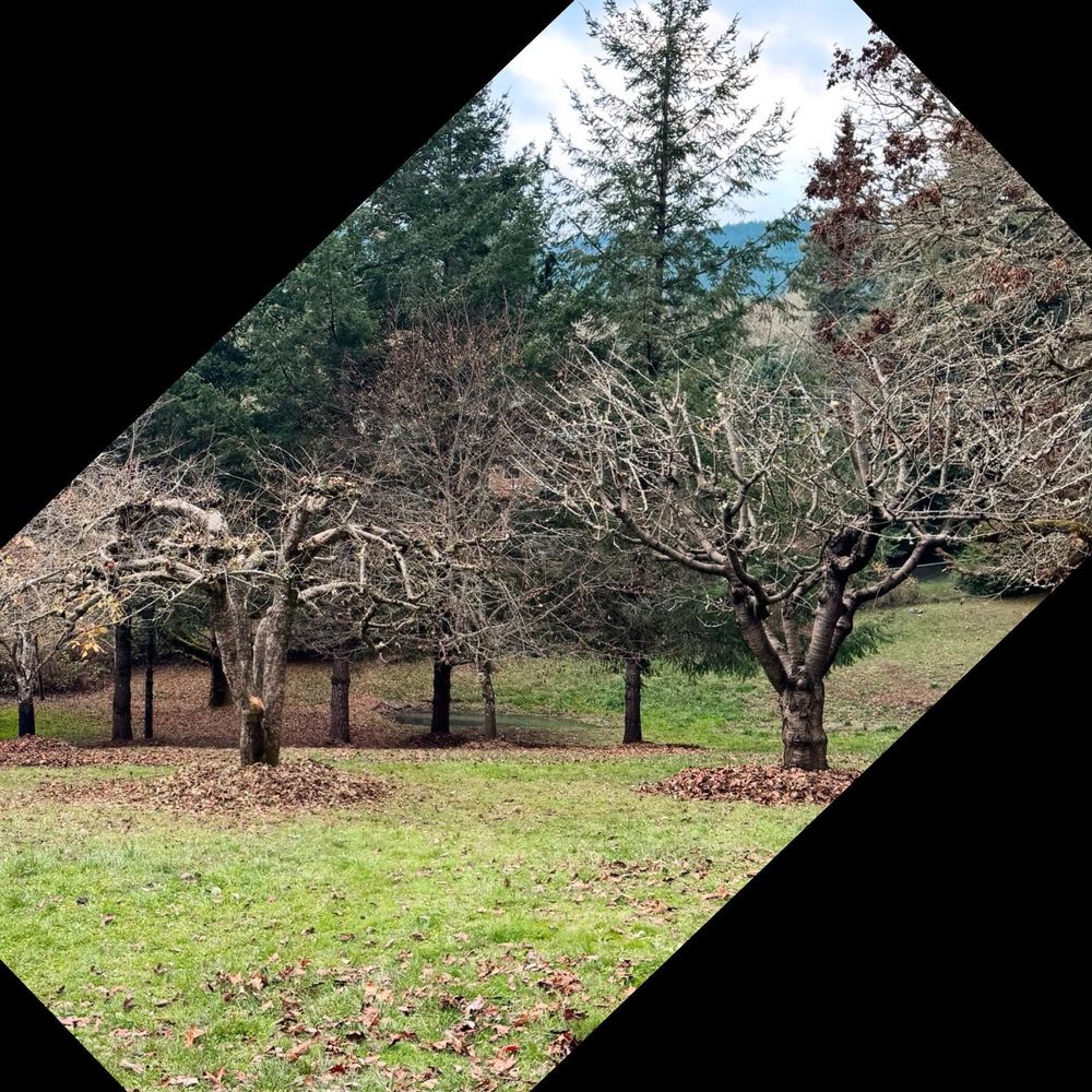 All Photos for Handy Hands Landscape in Corvallis, OR