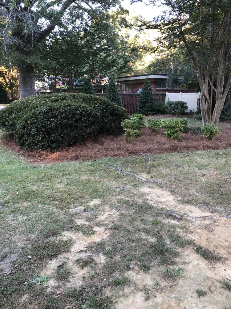 Mowing for Paul's Lawn Care and Pressure Washing in Wilson, NC