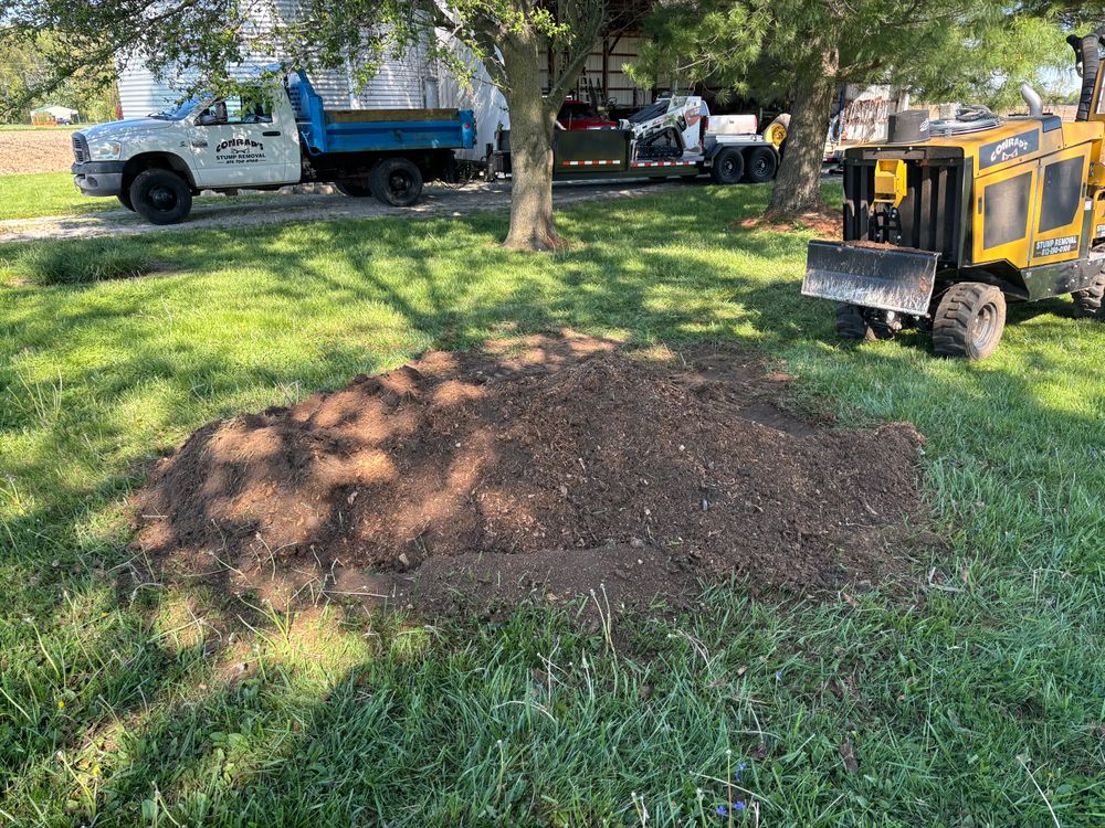 All Photos for Conrad's Stump Removal in Columbus, IN