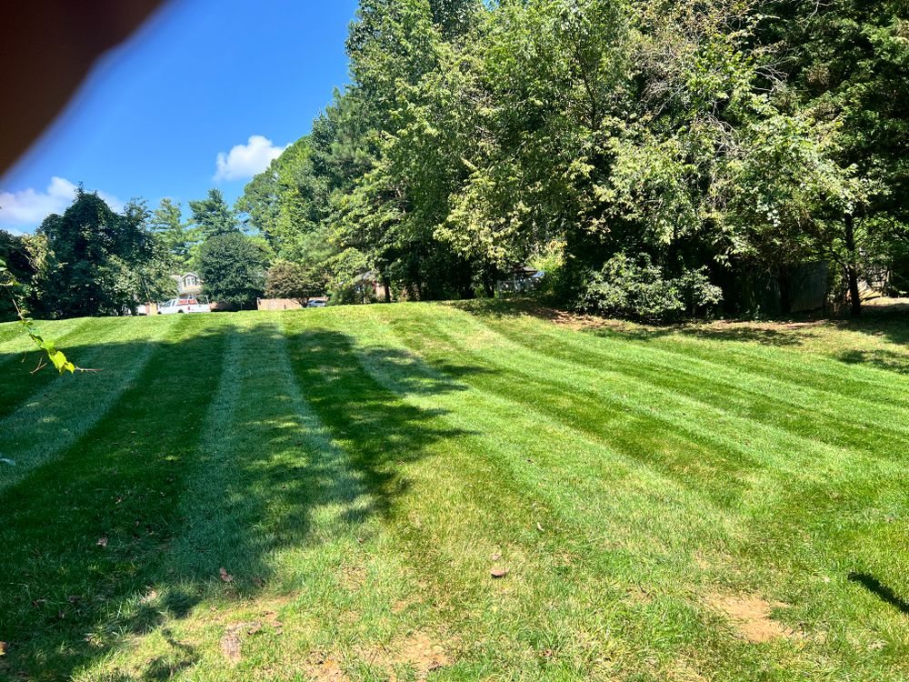 Lawn Care for Massey Landscaping in Gastonia, NC