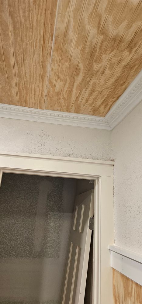 All Photos for Spencer Renovations Inc. in Selma, TX