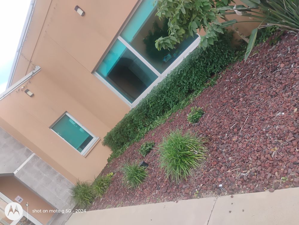 All Photos for Pro Lawn Care RGV in McAllen, TX