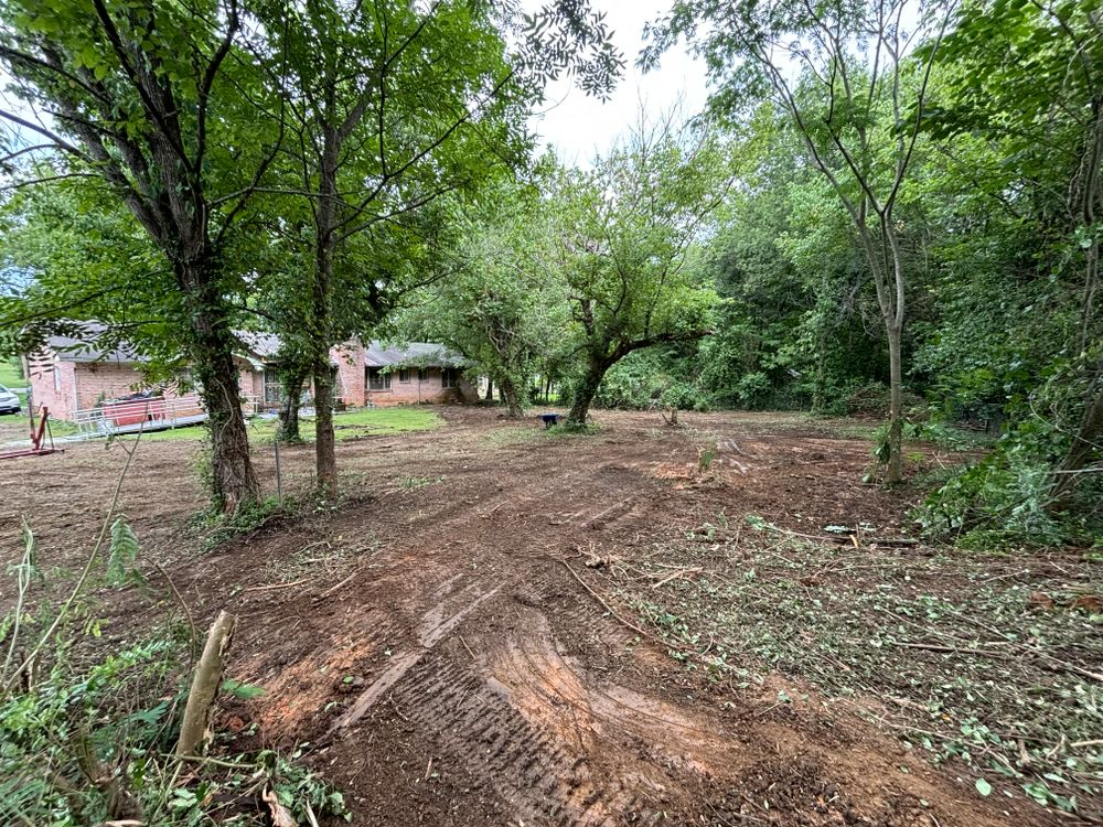 Brush Clearing  for Three Rivers Dirt Works LLC in Knoxville, TN