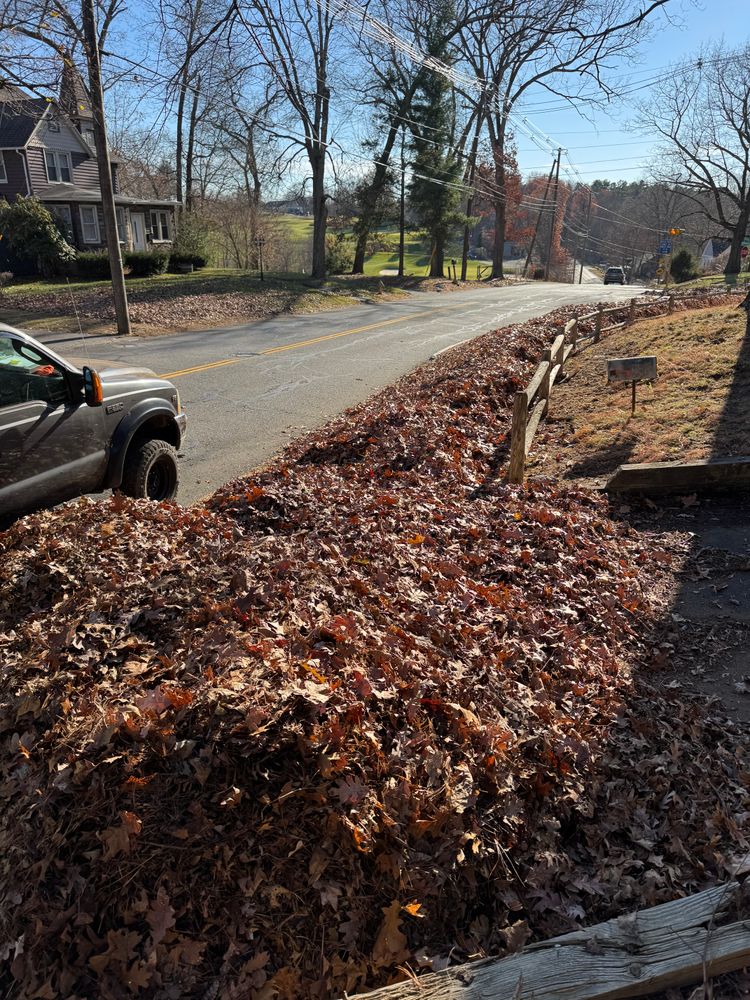 All Photos for Adams Landscaping in Springfield, MA