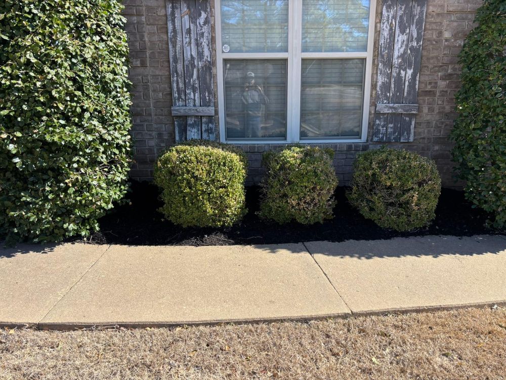 All Photos for Harness Lawn and Land Management  in Jonesboro ,  AR