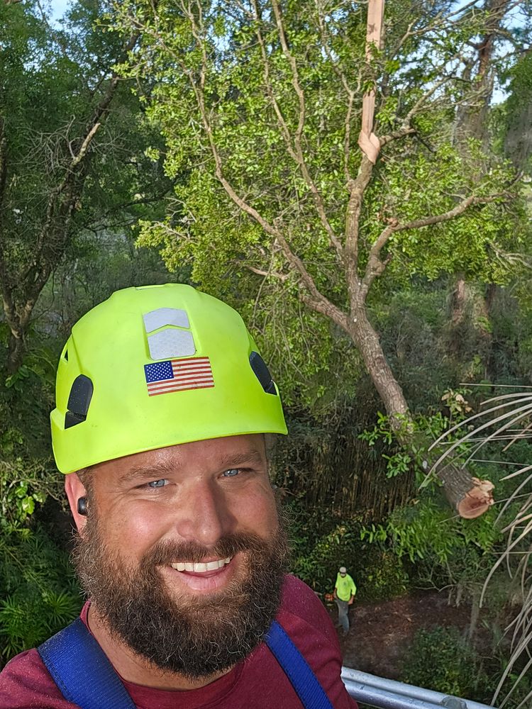 All Photos for Near Me Tree Service, Inc. in DeLand, FL