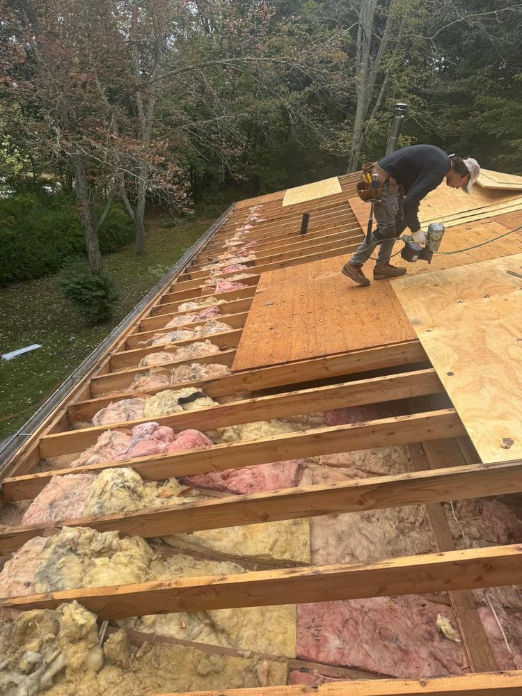 Our Mold Remediation service helps homeowners address and eliminate harmful mold growth in residential properties, ensuring a safe and healthy indoor environment for you and your family. for Local Chicago Roofing & Construction in Chicago, IL