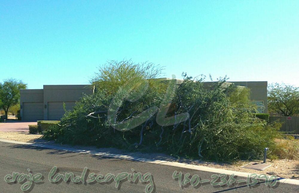 Our Tree Removal service ensures safe and efficient elimination of unwanted trees, promoting safety and aesthetics. Trust us for year-round needs, including expert snow removal to maintain your landscape's pristine condition. for CRAJE Landscaping LLC in Mesa, AZ