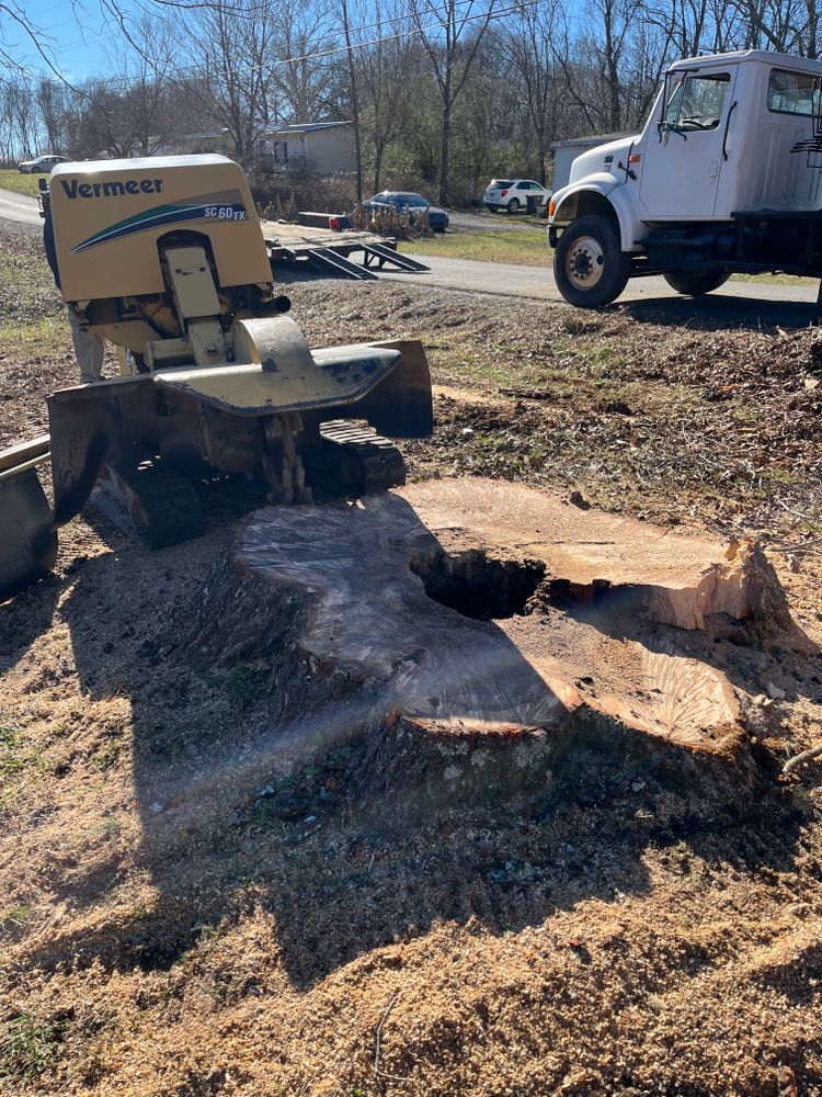 Our Stump Removal service efficiently eliminates tree stumps left behind after our tree removal service, leaving your property clear and ready for landscaping or construction projects. for T&T Lot Works in Kingston Springs, TN