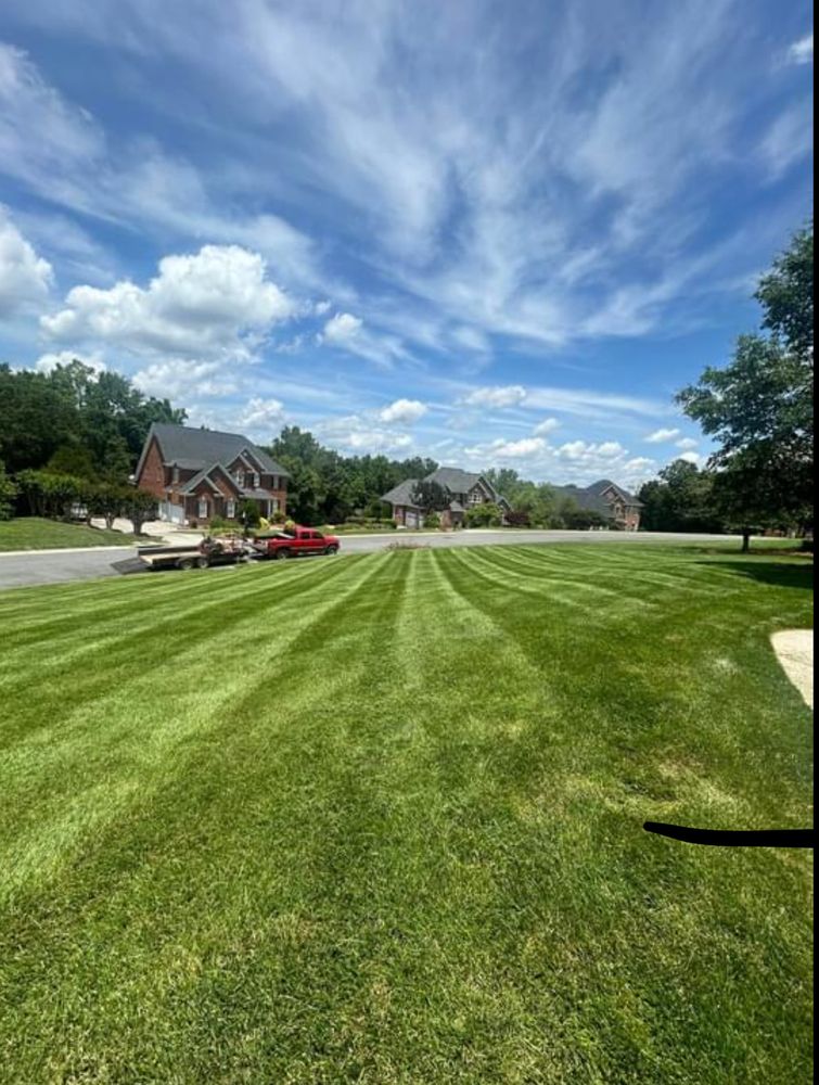All Photos for Alvarez Landscape & Hardscape Service in Rock Hill, SC