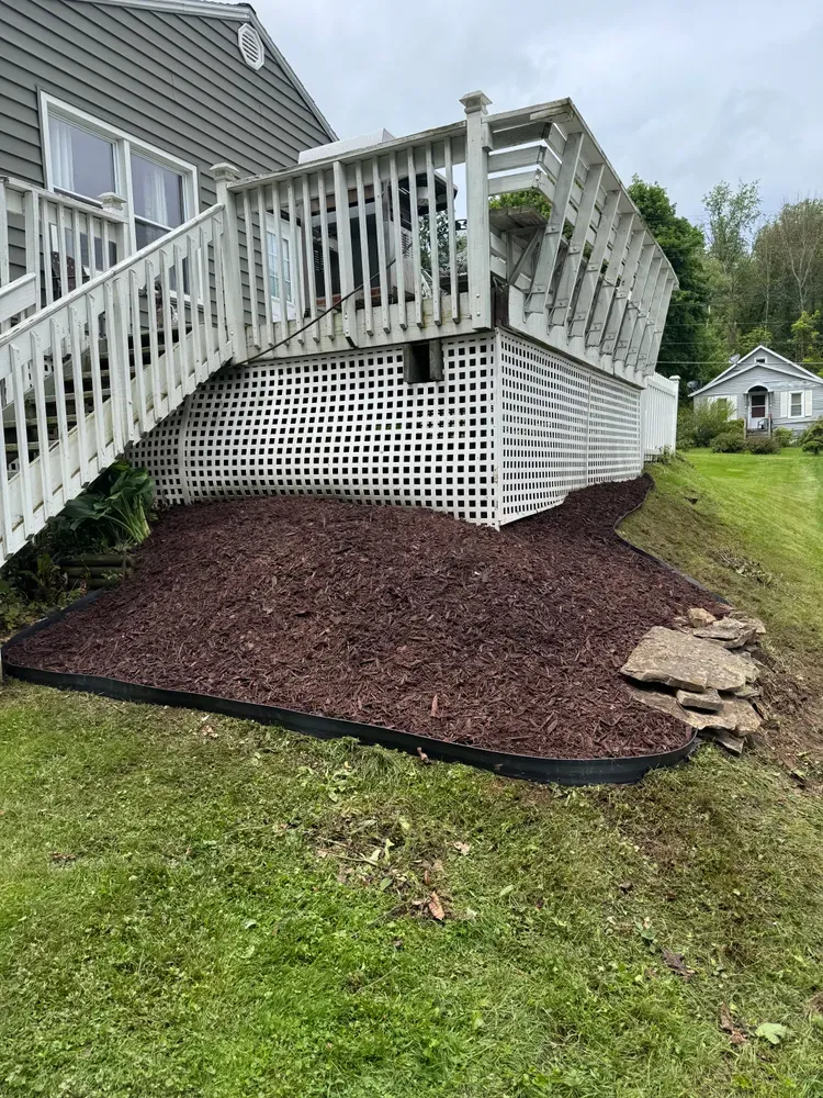 Brush clearing / land clearing  for Licensed to Cut Tree Service in Athens, PA