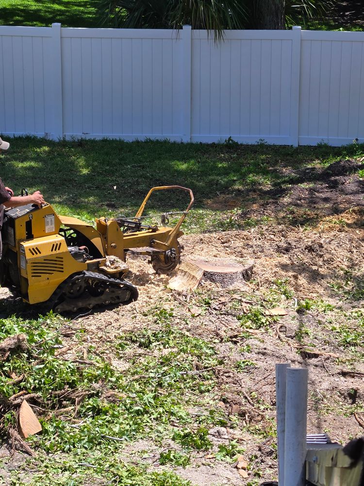 All Photos for Near Me Tree Service, Inc. in DeLand, FL