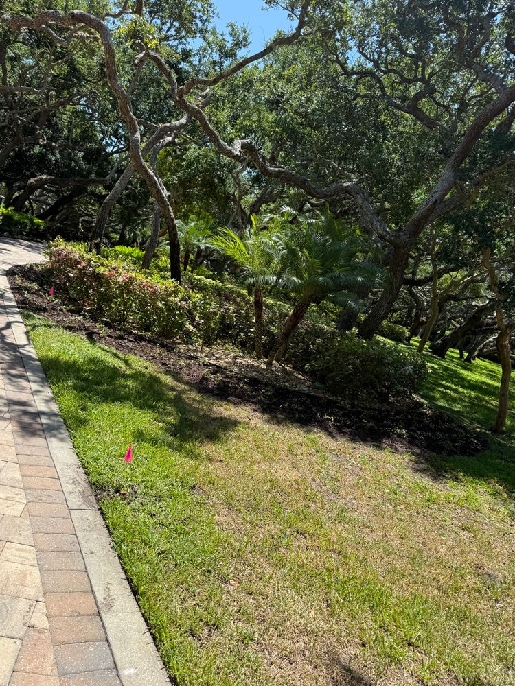 All Photos for Vanic's Landscaping in South Daytona, FL