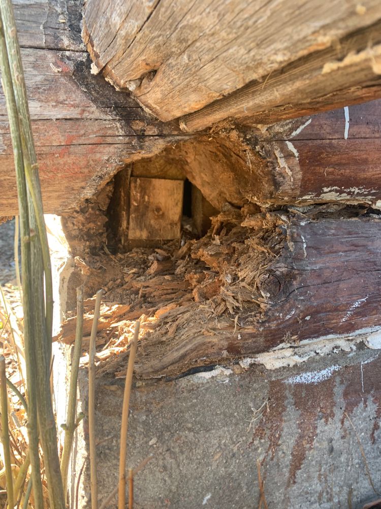 All Photos for Wild West Log home specialists in Corvallis, MT