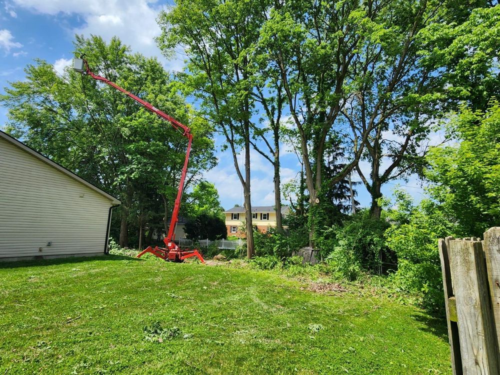 All Photos for F & F Tree Service in Beavercreek, OH