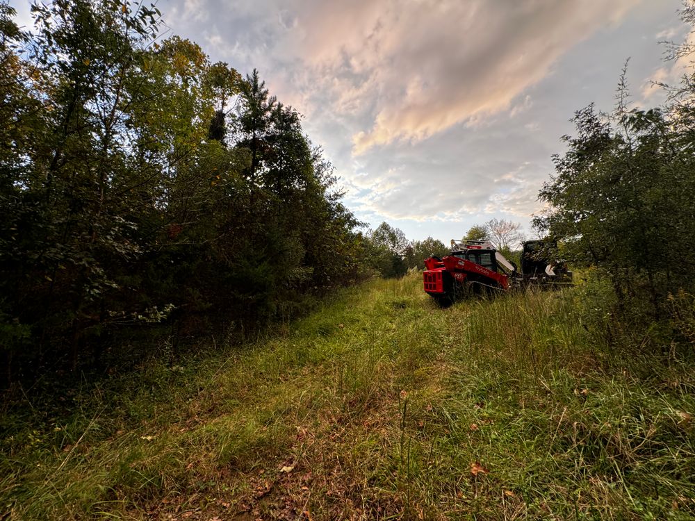 All Photos for Cone Grading and Land Clearing in Summerfield, NC