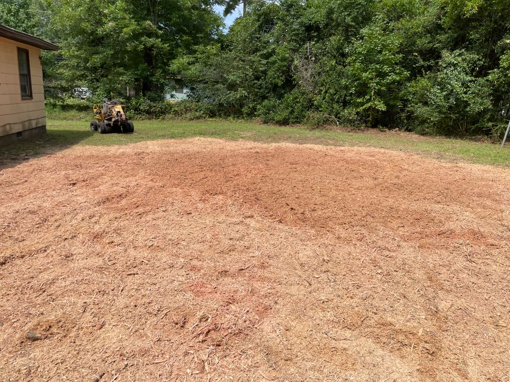 All Photos for MJB’s Stump Grinding LLC in Tennille, GA