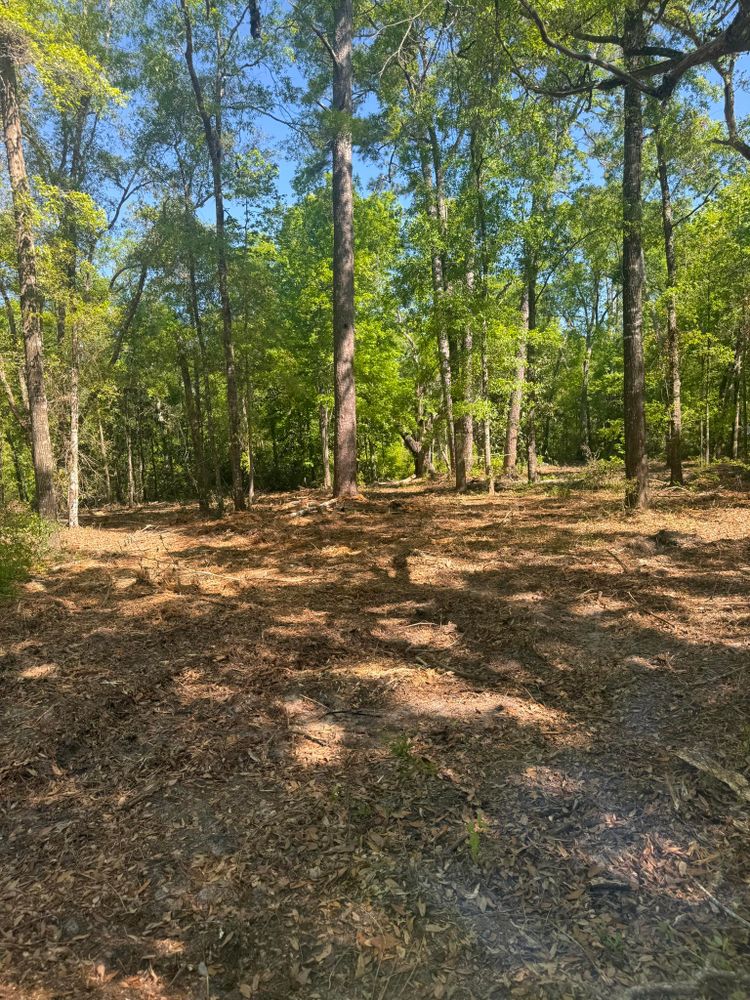 Our Land Clearing and Site Preparation service removes trees, brush, stumps, and debris efficiently, creating a safe, clean foundation for new construction, landscaping projects, driveways additions on your property. for Dude Crew's in Bristol, FL