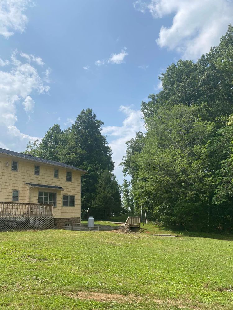 Tree Removal for Ascending Tree Service LLC in Kenbridge, VA