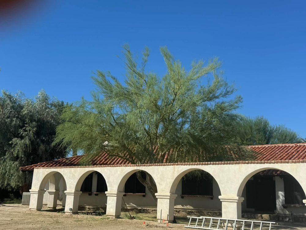 Property Clean Up for The Tree Fairy in Temecula, CA