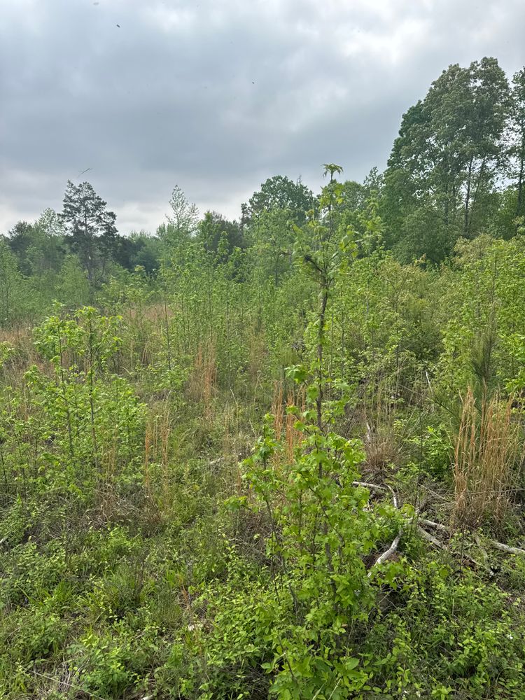 All Photos for Simmons land works in Sardis,, TN