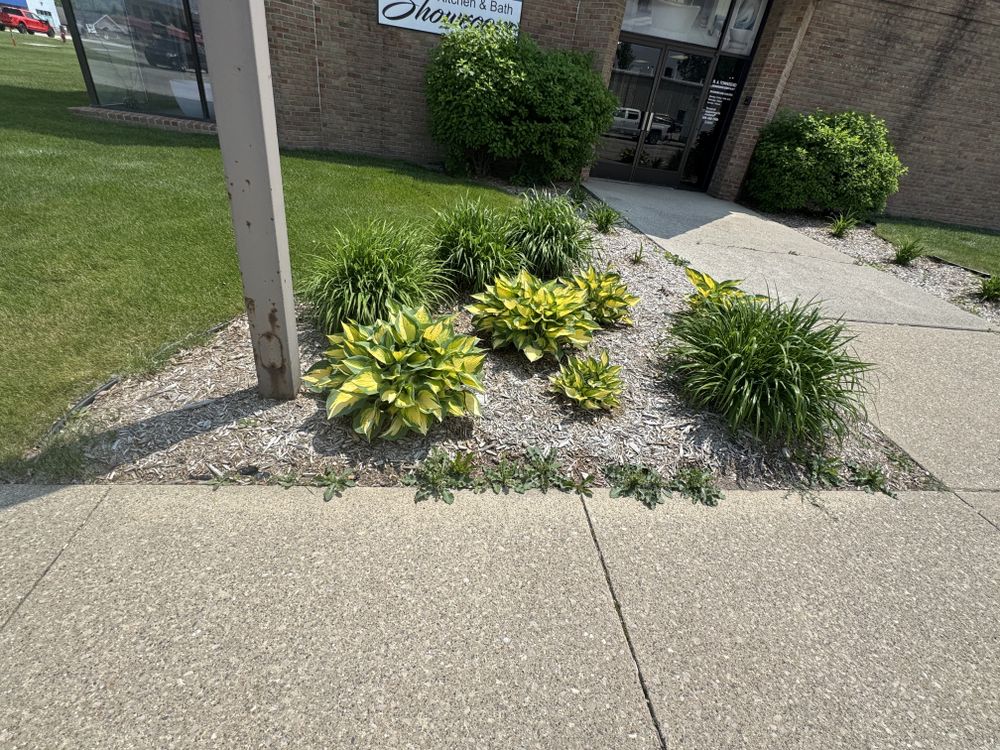 Landscaping Lawn Care for Daugherty's Tough Lawn Care in Essexville, MI