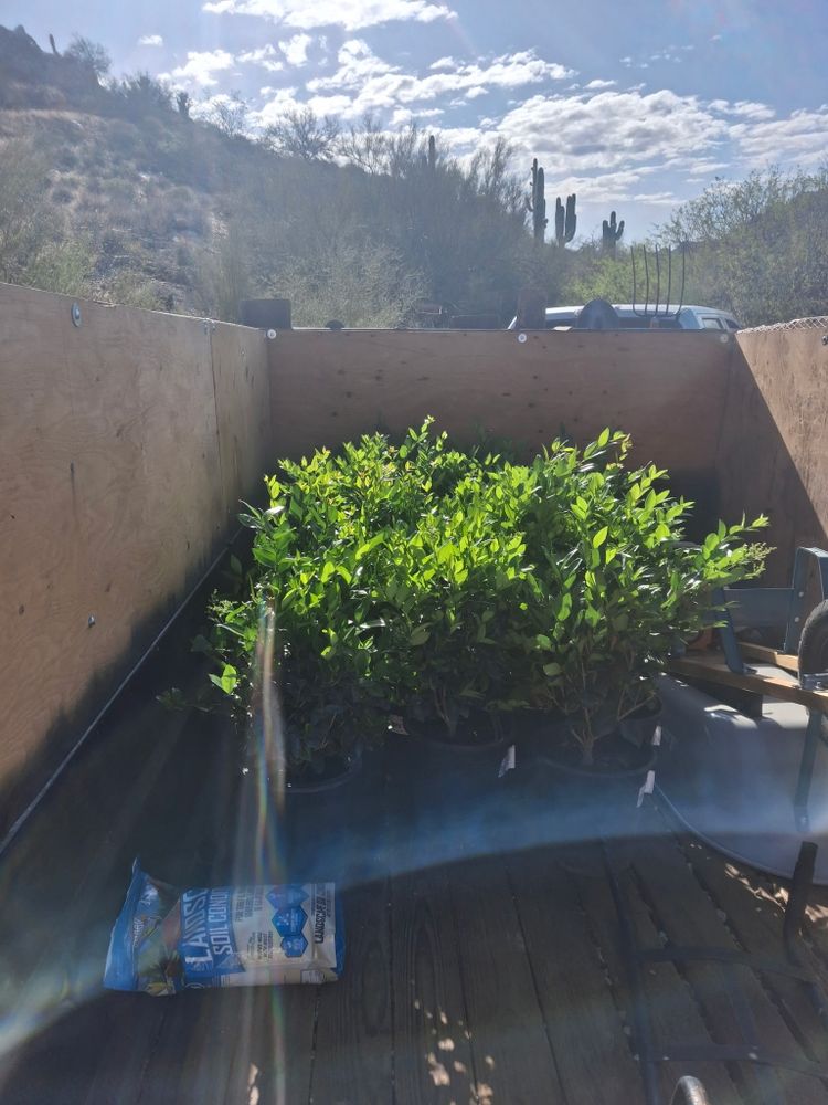 All Photos for Family Landscaping in Phoenix, AZ