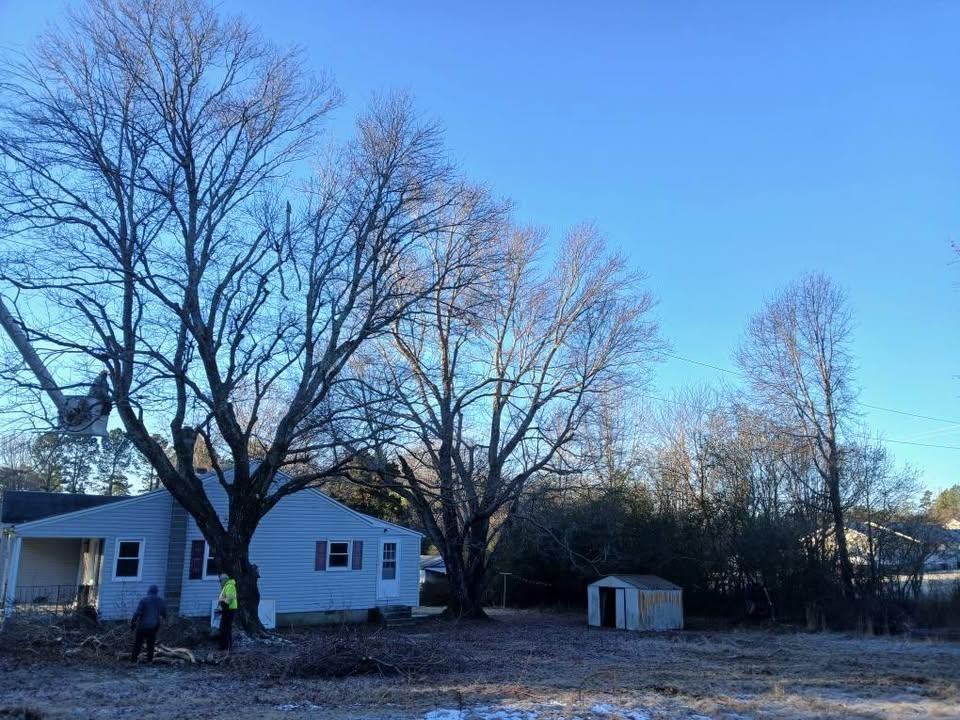 All Photos for Whiskey Ridge Mulching & Land Services in South Boston, VA