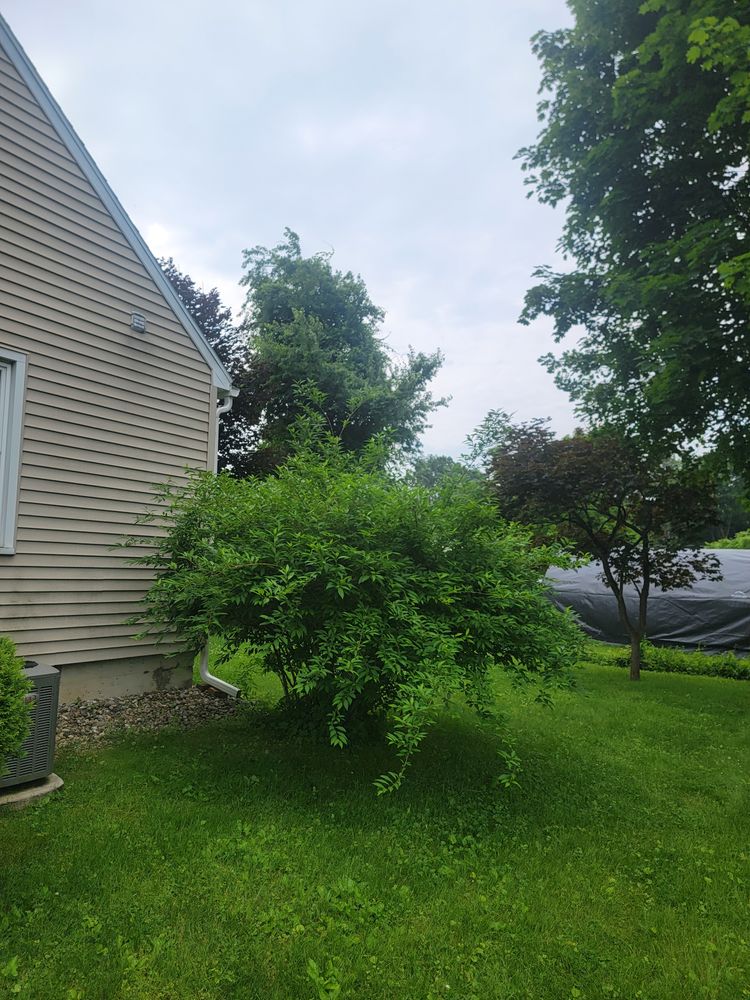 All Photos for Sweet Scapes in Ballston Spa, NY