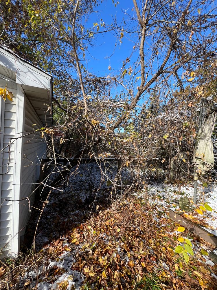 All Photos for Alltimate Outdoor Services in Warren, MI