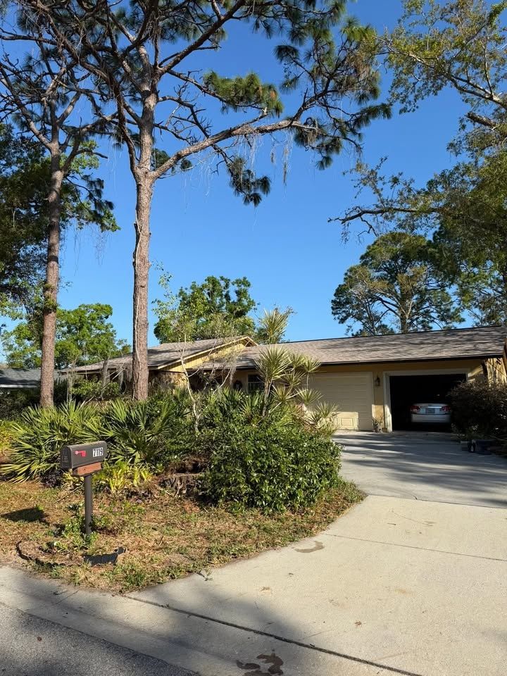 All Photos for Damian’s Tree Care in Sarasota, FL