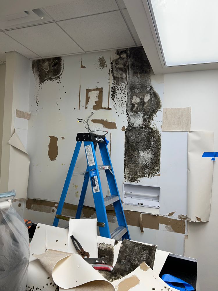 Mold Remediation for N&D Restoration Services When Disaster Attacks, We Come In in Cape Coral,  FL