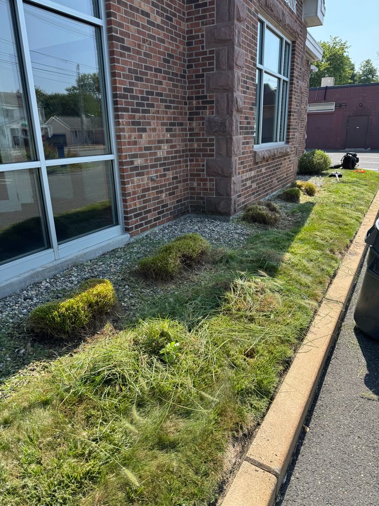 All Photos for Adams Landscaping in Springfield, MA