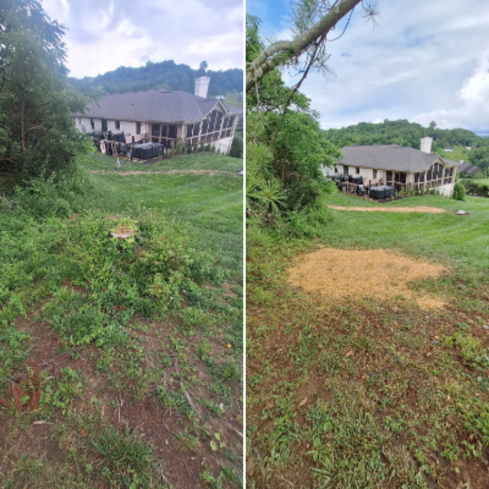 All Photos for Cincinnati’s Finest Landscape Services LLC in Cincinnati, OH