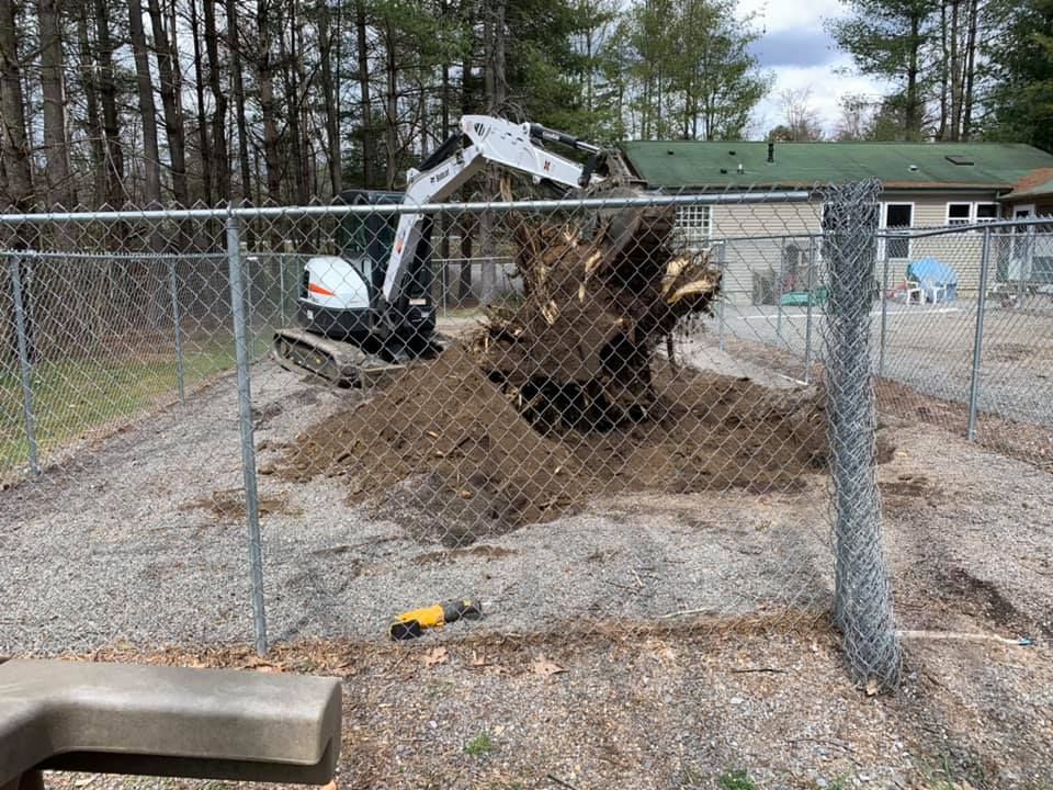 Tree Trimming & Removal for Elias Grading and Hauling in Black Mountain, NC