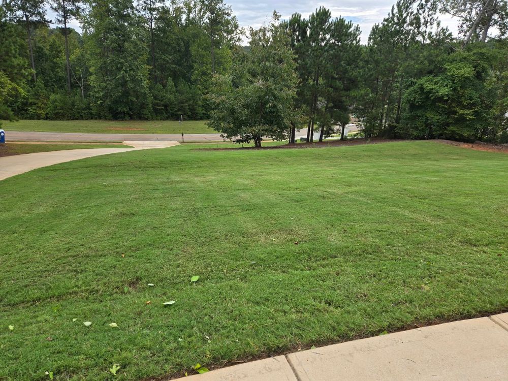 Landscaping for Fresh Cut Yard & Lawn Care LLC in Forsyth, GA