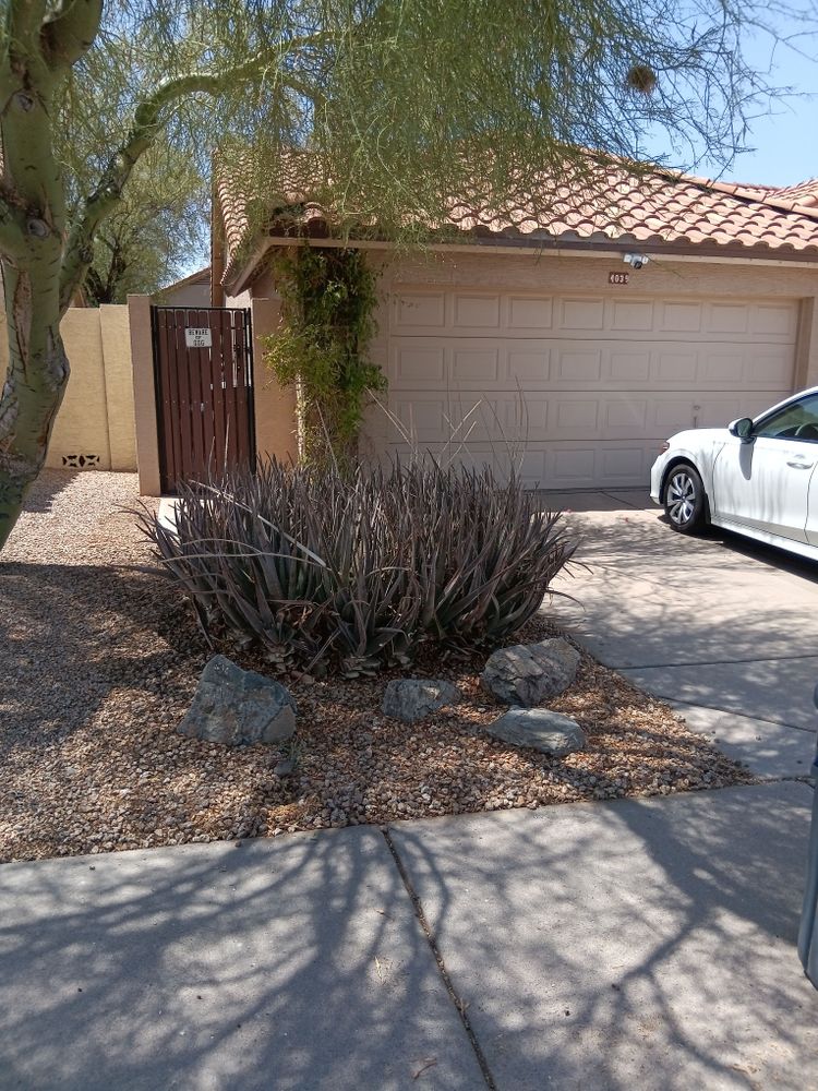 All Photos for Family Landscaping in Phoenix, AZ