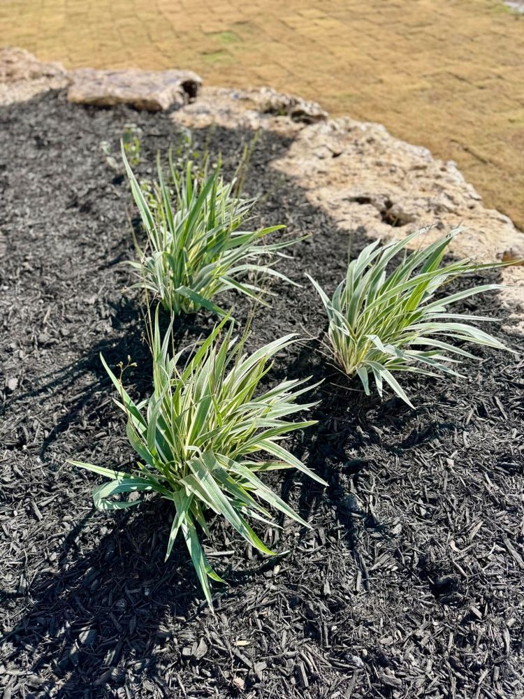 Irrigation System Design & Install for Bright Green Irrigation System in San Antonio, TX