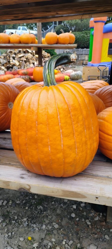 All Photos for Rutledge Contracting LLC in Hazel Green, AL