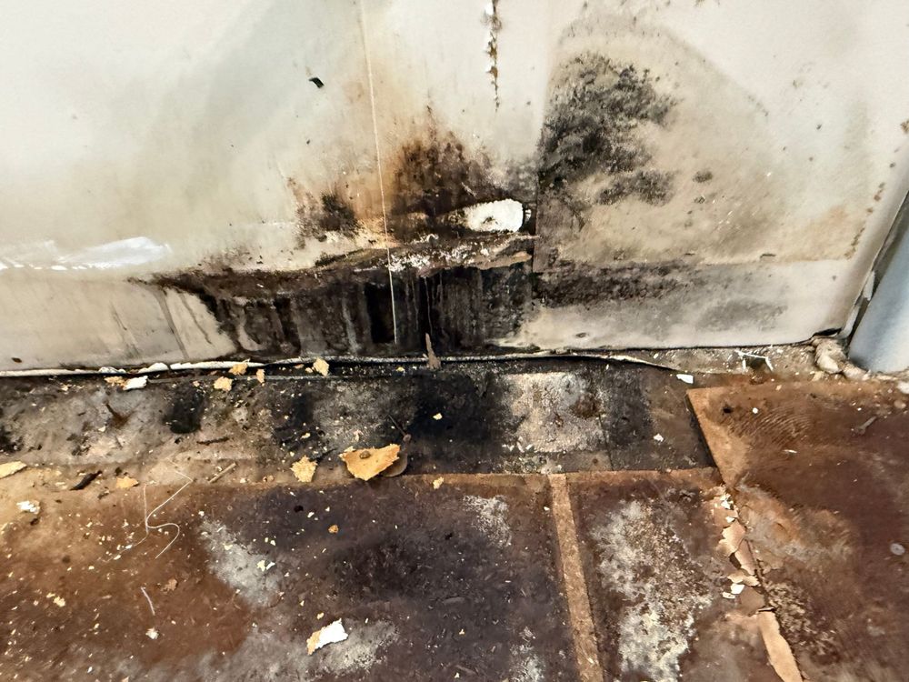 All Photos for ACM Environmental in Salt Lake City, UT