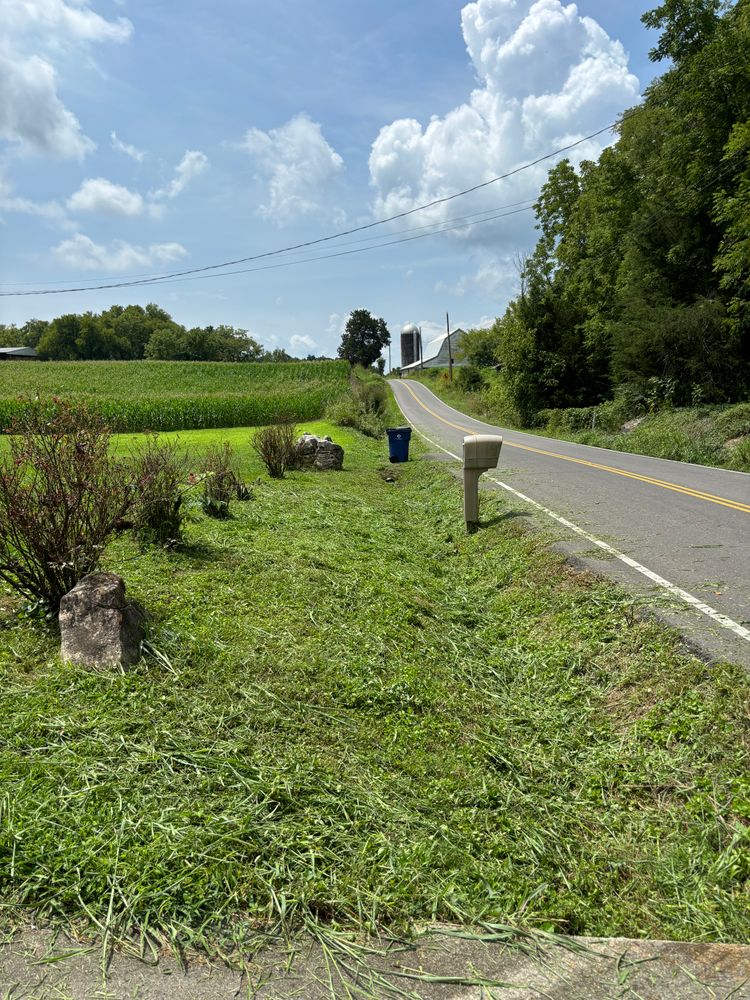 All Photos for SEALY TREE and LAWN in Cleveland, TN