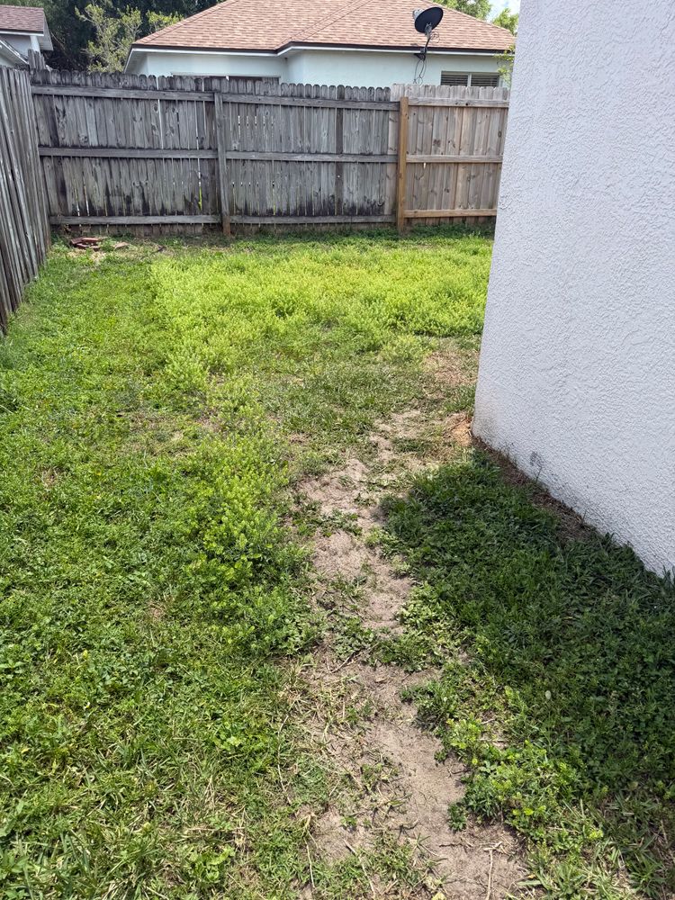 All Photos for The Yardman in Tampa, FL