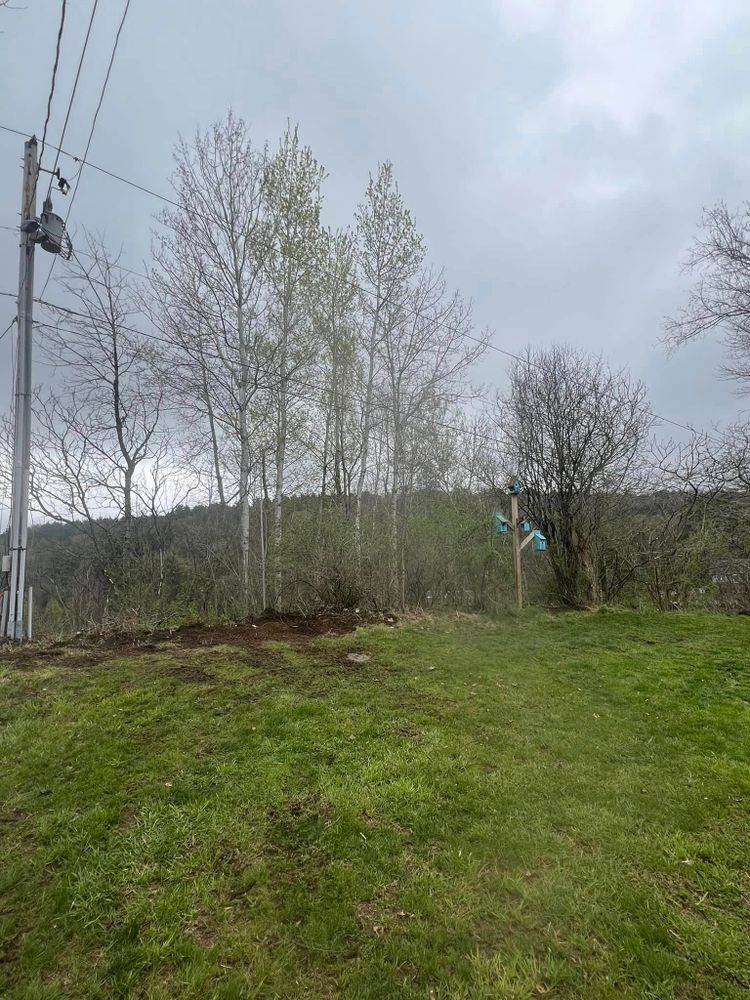 Lawn Care for Bishop’s Property Maintenance in Franklin, VT