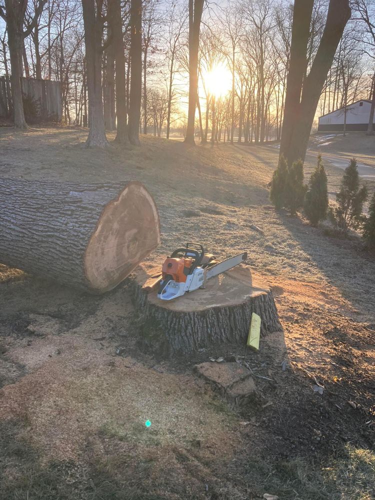 All Photos for Summit Tree Care LLC in Fort Wayne, IN