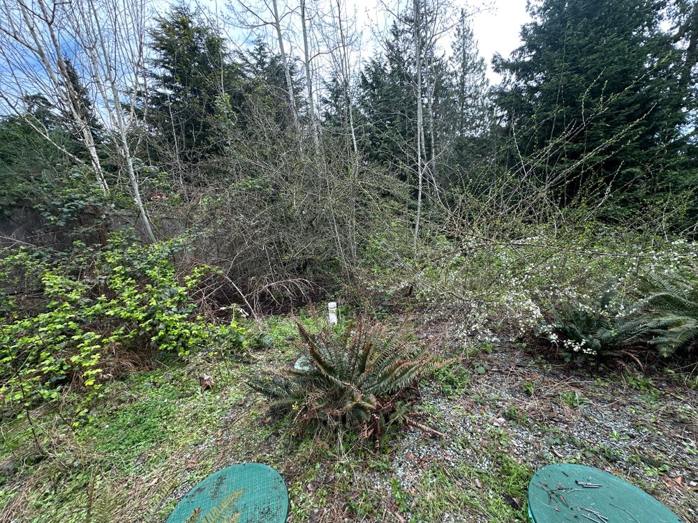 All Photos for AR Trucking & Excavation LLC in Stanwood, WA