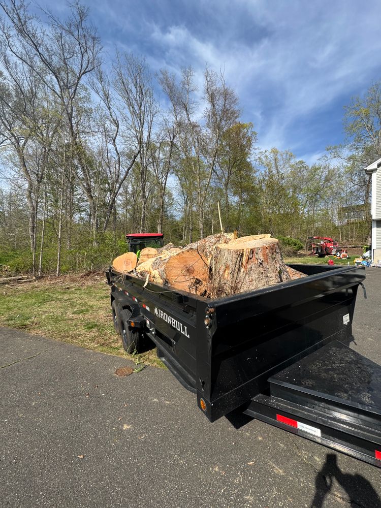 All Photos for Hennessey Tree & Landscape LLC in Oxford,  CT 