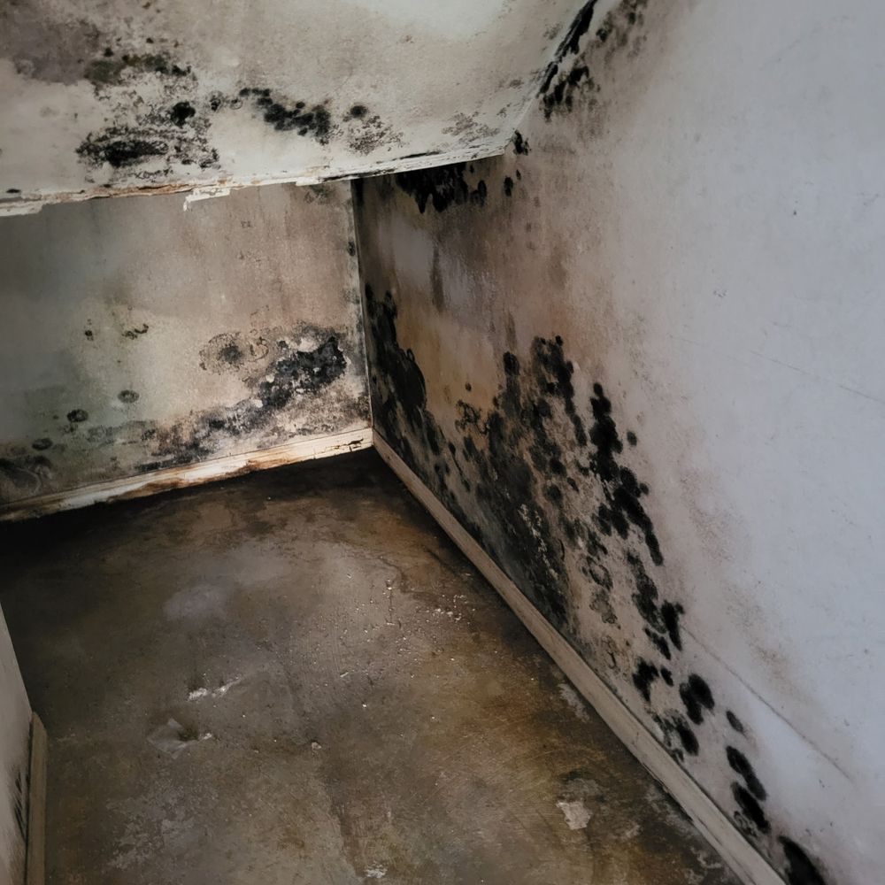 All Photos for N&D Restoration Services: When Disaster Strikes, We Come In in Cape Coral,  FL