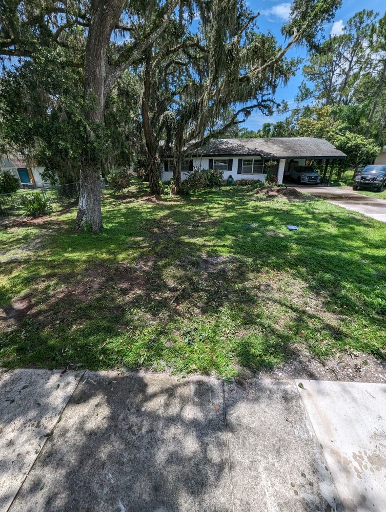All Photos for Regal Tree Service and Stump Grinding in Wauchula, FL